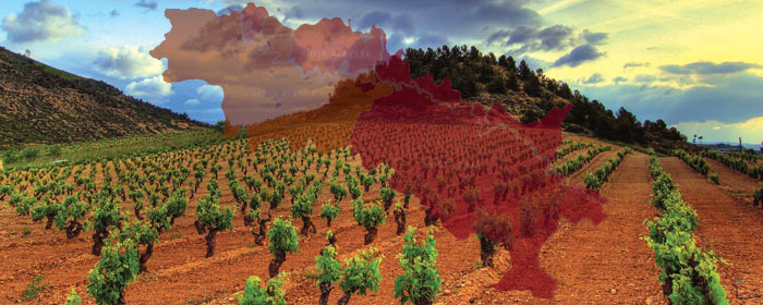 Rioja - der beliebte spanische Rotwein