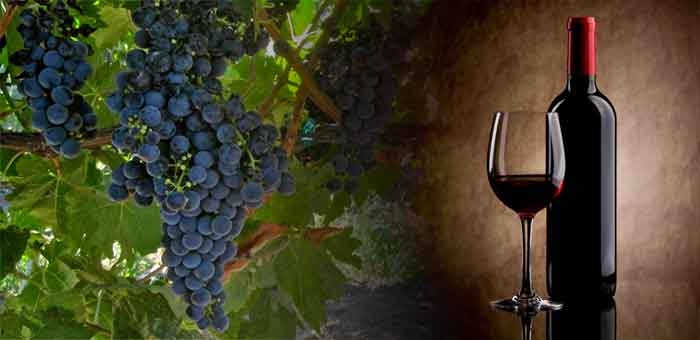 Tempranillo Wein: Arten von spanischen Weinen