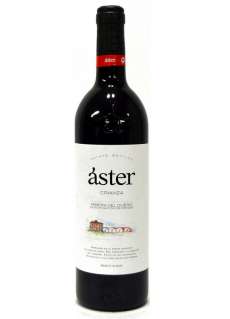 Aster