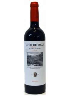Coto Imaz