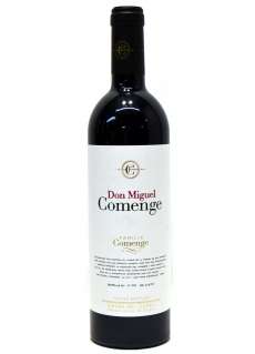 Don Miguel Comenge