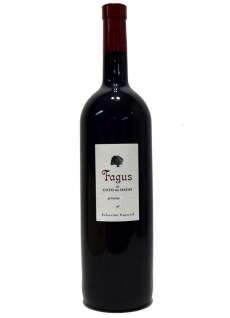 Fagus (Magnum)