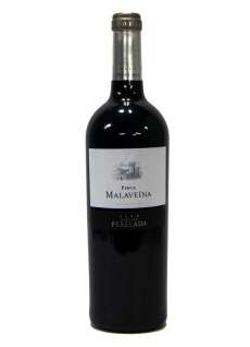 Finca Malaveina