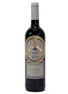 Guelbenzu Evo