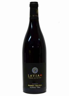 Lavia +