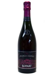 Llopart Microcosmos Rose Nature