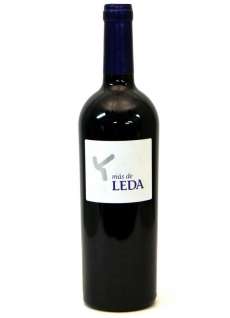 Mas de Leda