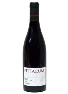 Pittacum