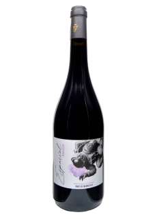 Rotwein Espacial Tempranillo y Syrah