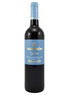 Rotwein Valdubón 9 Meses