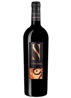 Rotwein Valenciso 10 Años Después