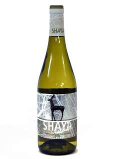 Shaya