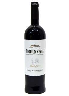 Teófilo Reyes
