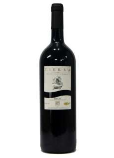 Tierra (Magnum)