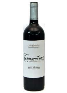 Torremilanos
