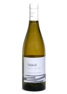 Valdesil