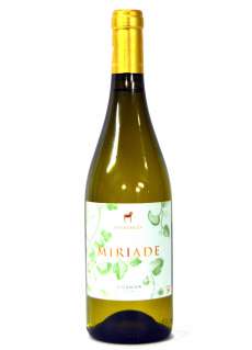 Vallegarcía Viognier