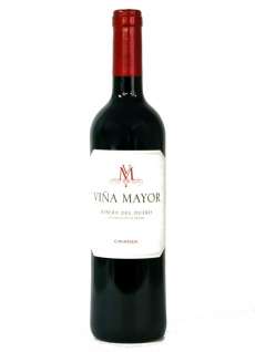 Viña Mayor