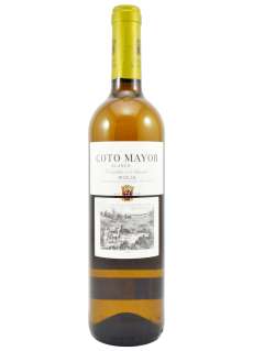 Weißwein Coto Mayor Sauvignon Blanc
