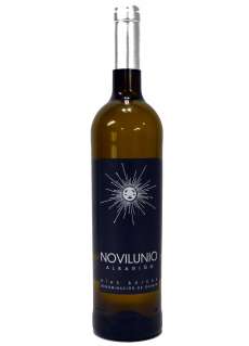 Weißwein Novilunio Albariño